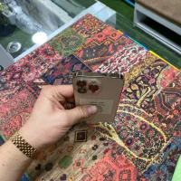 13pro درحد|موبایل|پیرانشهر, |دیوار