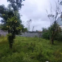 زمین232-متری-دارسازی