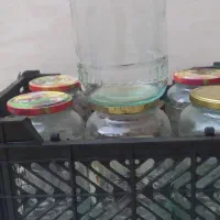 شیشه خیارشور