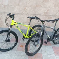 دوچرخه آس ویوا  و راکی