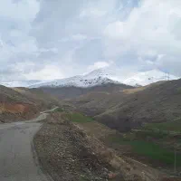 فروش زمین کشاورزی دینور
