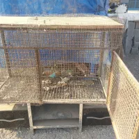 قفس آهنی بسیار محکم|لوازم جانبی حیوانات|اقبالیه, |دیوار