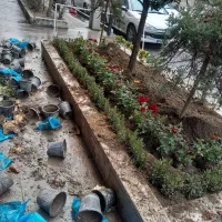 خدمات‌ باغبانی‌ در‌ سراسر‌ تهران