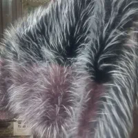 پارچه