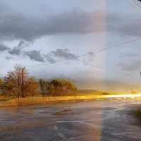 زمین-اجاری-برا-زنبور
