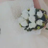 لباس عروس|لباس|بومهن, |دیوار