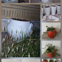 فروش گلدان