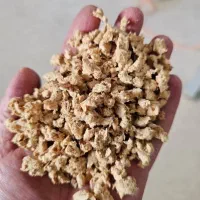 سویا عمده ،کارتنی