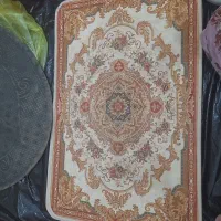 پادری شیک در حدنو