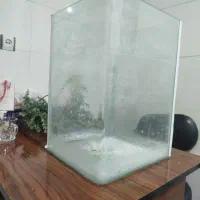 اکواریوم ماهی شیشه خم