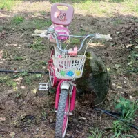 دوچرخه سایز ۱۶|دوچرخه، اسکیت، اسکوتر|رشت, انصاری|دیوار