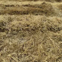 اجاره ی زمین کشاورزی