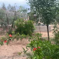 باغ نشاط معاوضه دوطبق ساحتمان|فروش خانه و ویلا|شیراز, بید زرد|دیوار