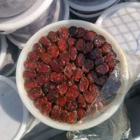 خرما کبکاب و خاصی بهبهان|خوردنی و آشامیدنی|اهواز, شهرک دانشگاه|دیوار