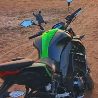 z1000 ( عروسک ) های پرو