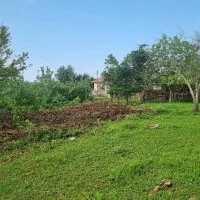 1514متری