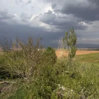 فروش-باغ-5000-متر-اتوبان-زنجان-تبریز