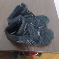 کتانی کشتی. وکتانی بیرون|کیف، کفش، کمربند|بشاریات, |دیوار