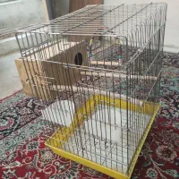 قفس کاسکویی با لونه