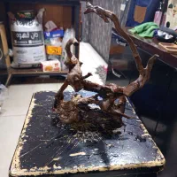 چوب آبنوس|ماهی|اهواز, کمپلو جنوبی|دیوار