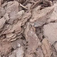 کود گوسفندی