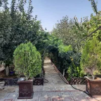 استخدام سرایدار برای باغچه