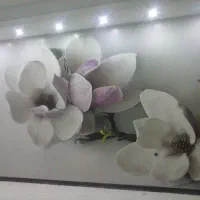 فروش ونصب کاغذدیواری|خدمات پیشه و مهارت|قوچان, |دیوار