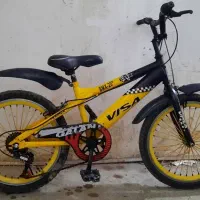 دوچرخه  بیست دخترونه و پسرونه