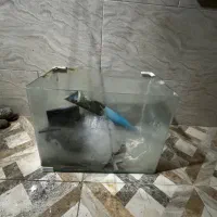 اکواریوم با تجهیزات