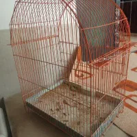 قفس برای پرندگان