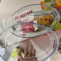 دیس مرغ خوری