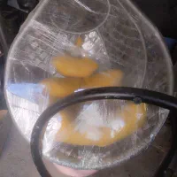 تاب ریلکس|مبلمان خانگی و میز عسلی|کبودرآهنگ, |دیوار