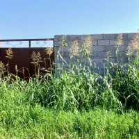 125-متر-مسکونی-دوبر