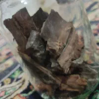 چوب درخت گردو|کلکسیون و سرگرمی|هرسین, |دیوار