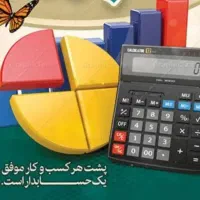 ارائه خدمات مالی و مالیاتی
