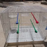 قفس