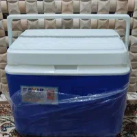 کلمن مرغ و ماهی