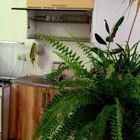 اجاره سوییت ویلایی دوخوابه ارسباران - در کلیبر|اجارهٔ کوتاهمدت آپارتمان و سوئیت|کلیبر, |دیوار