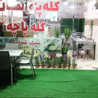 نیروی خانم