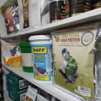 سرلاک مخصوص پرندگان زینتی