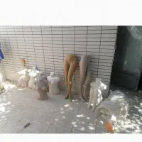 فروش مانکن و رگال|فروشگاه و مغازه|زیباشهر, |دیوار