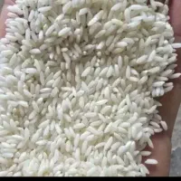 برنج سونامسوری شبیه عنبر سبز2تن