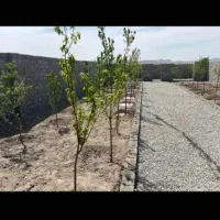 باغ چهاردیواری شده با درب ماشین رو|فروش زمین و ملک کلنگی|تهران, اسفندیاری|دیوار