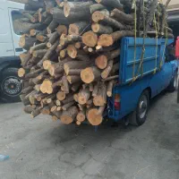 خرید چوب و قطع درختان سخترین جای غیرممکن خطر