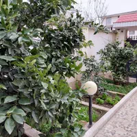 اجاره ویلا نزدیک بازارچه و ساحل با قیمت استثنایی