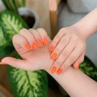 نیازمند مدل ناخن|خدمات آرایشگری و زیبایی|رشت, پیرسرا|دیوار