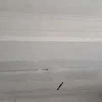 نقاش ساختمان
