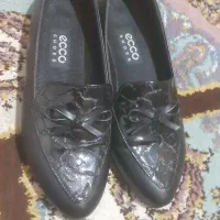 کالج زنانه در حد|کیف، کفش، کمربند|اردبیل, |دیوار