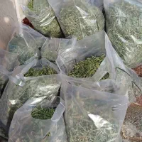 توبی پت یونجه و پوشال