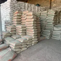 راننده نیسان